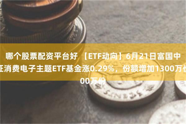 哪个股票配资平台好 【ETF动向】6月21日富国中证消费电子主题ETF基金涨0.29%，份额增加1300万份