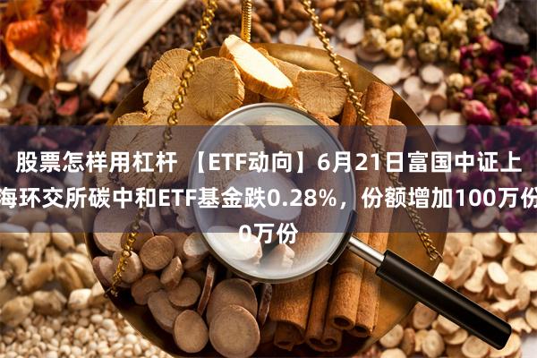 股票怎样用杠杆 【ETF动向】6月21日富国中证上海环交所碳中和ETF基金跌0.28%，份额增加100万份