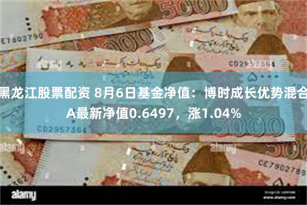   黑龙江股票配资 8月6日基金净值：博时成长优势混合A最新净值0.6497，涨1.04%