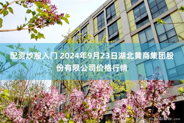 配资炒股入门 2024年9月23日湖北黄商集团股份有限公司价格行情