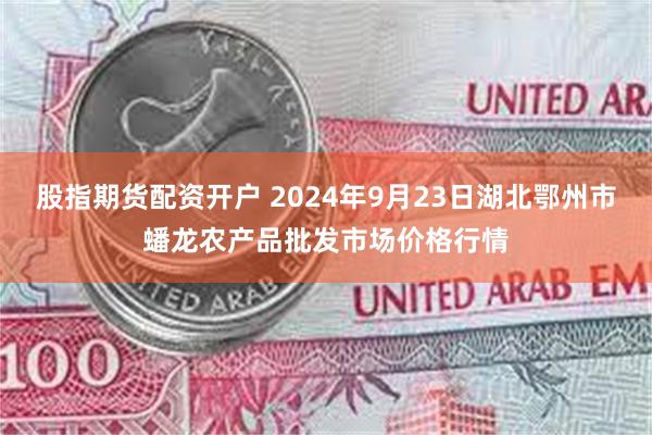 股指期货配资开户 2024年9月23日湖北鄂州市蟠龙农产品批发市场价格行情