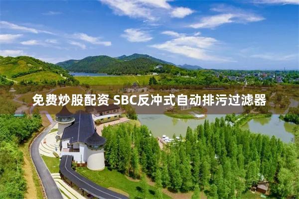 免费炒股配资 SBC反冲式自动排污过滤器