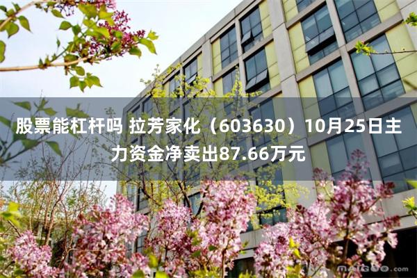 股票能杠杆吗 拉芳家化（603630）10月25日主力资金净卖出87.66万元