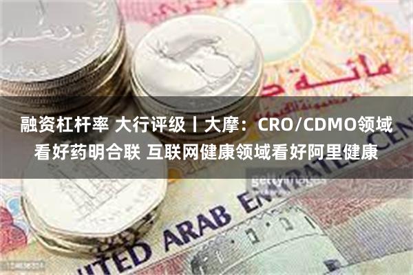 融资杠杆率 大行评级丨大摩：CRO/CDMO领域看好药明合联