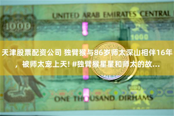 天津股票配资公司 独臂猴与86岁师太深山相伴16年，被师太宠上天! #独臂猴星星和师太的故...