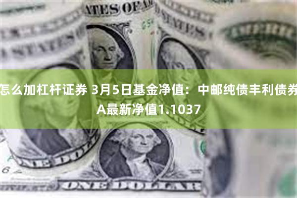 怎么加杠杆证券 3月5日基金净值：中邮纯债丰利债券A最新净值