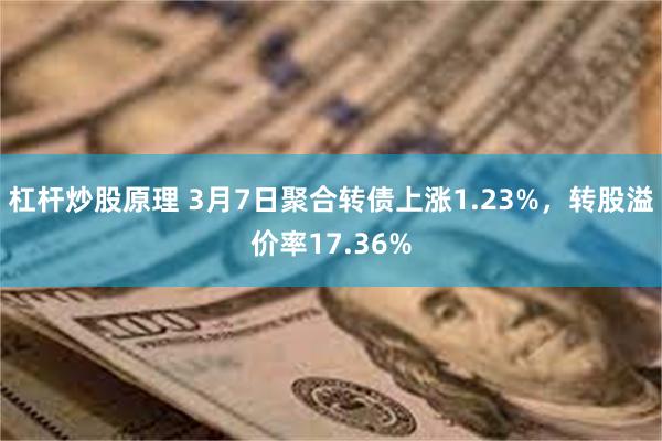 杠杆炒股原理 3月7日聚合转债上涨1.23%，转股溢价率17.36%